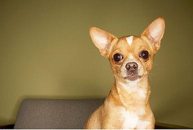 《拳皇15》马克西马角色预告 半人半机械战士登场